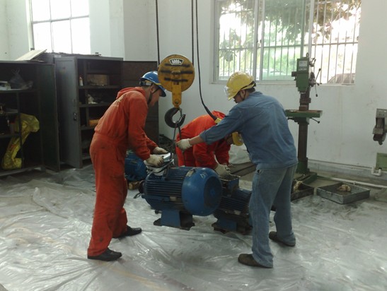 海洋石油富島有限公司一期大修機組、扒料機、安全閥及電機技術(shù)服務(wù)項目(圖2)