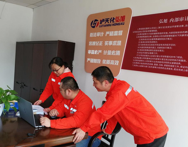 弘旭公司召開內(nèi)部審計(jì)工作啟動(dòng)會(huì)(圖2)