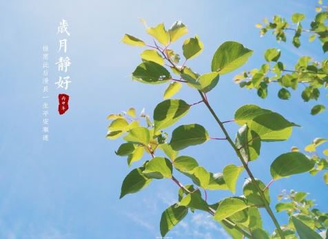 愿歲月靜好，山河無(wú)恙